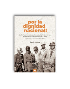 Por la Dignidad Nacional. La lucha entre trabajadores, capitales extranjeros y Estado en la Gran Minería del Cobre (Potrerillos y El Salvador, 1945-1973)